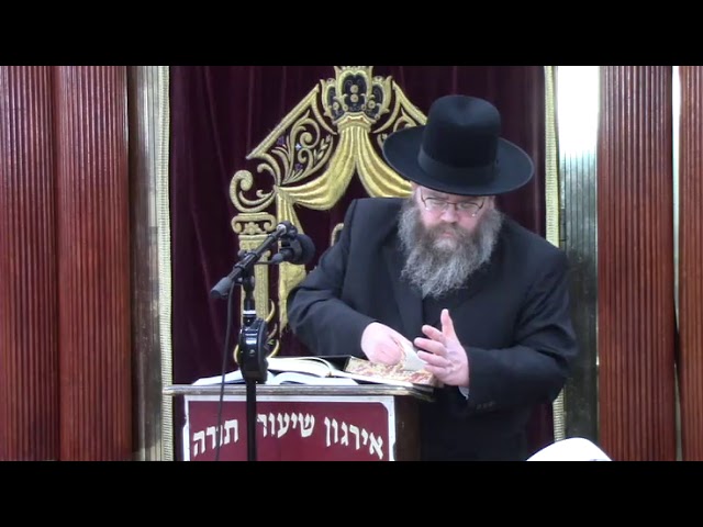מגילת אסתר - למצוא חסדי ד' גם בתוך ההסתר - ר' משה מאיר לעדערמאן שליט"א
