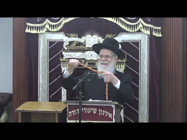 דיני קושר בשבת - ר' צבי היילפרין שליט"א