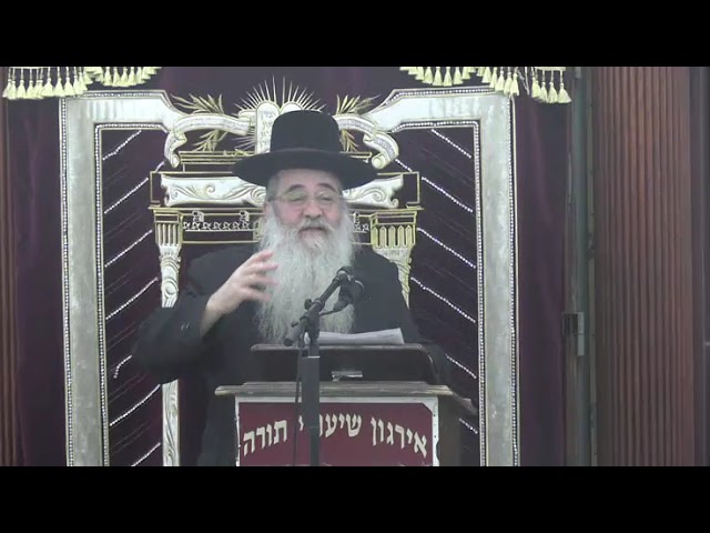 זהירות בדיני ממונות -   ר' מאיר פלקסר שליט"א