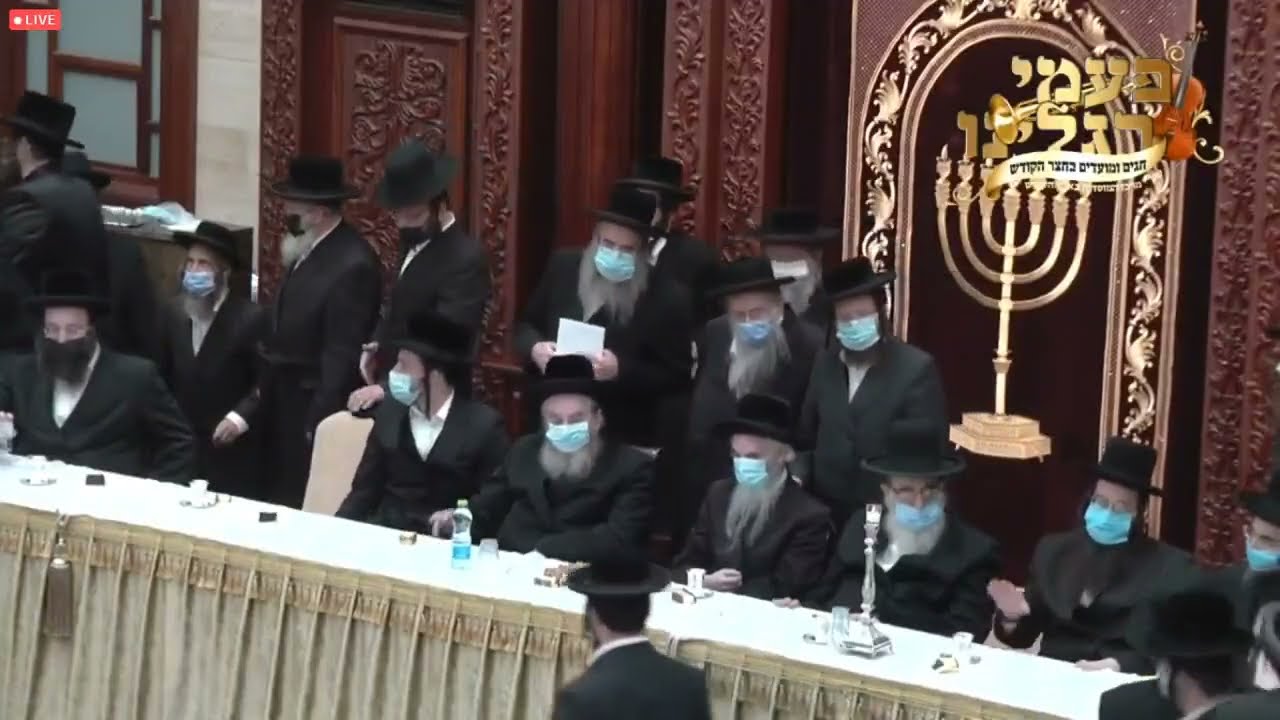 שמחת התנאים פון נכד כ"ק אדמו"ר מקארלין סטאלין שליט"א