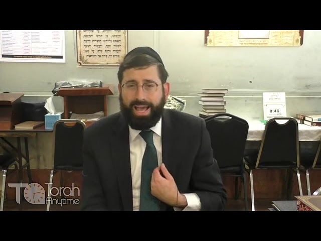 Parshas Ki Seitzei: You Can Never Ignore Your Own Flesh! The Great Observation of Rebbi Akiva Eiger