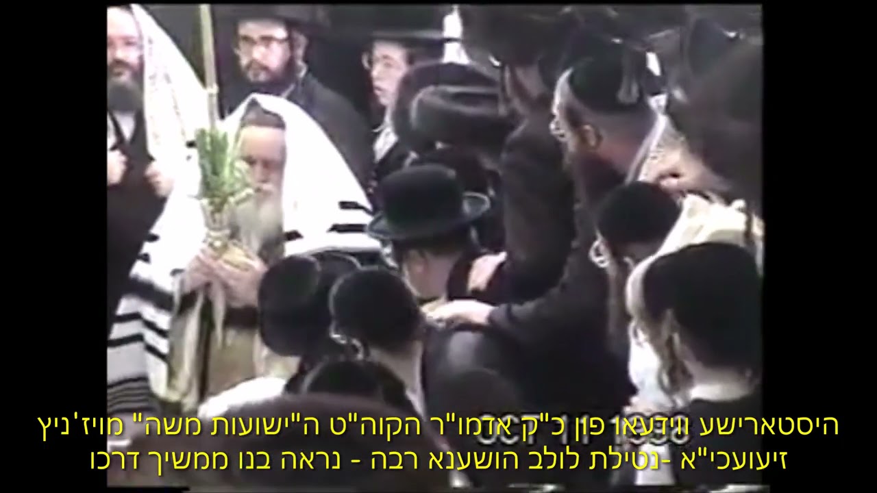 היסטארישע ווידעא פון הושענא רבה ביי כ"ק בעל ישועות משה מוויזניץ זצ"ל