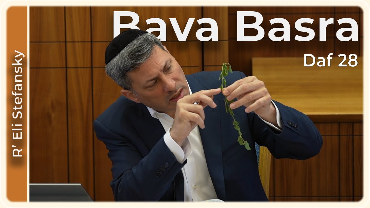 Daf Yomi Bava Basra Daf 28 by R’ Eli Stefansky