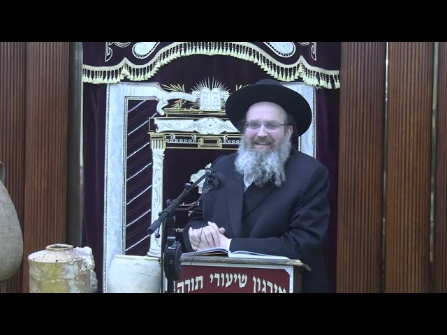 שמיטה ומצות התלויות בארץ - המחשה במציאות הענינים - ר' שאול שמעון דויטש
