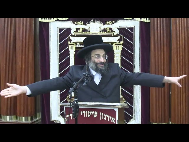 השתלת אברים בהלכה (כוליא, לב, עצמות ועוד) - ר' שאול יחזקאל שווארץ שליט"א