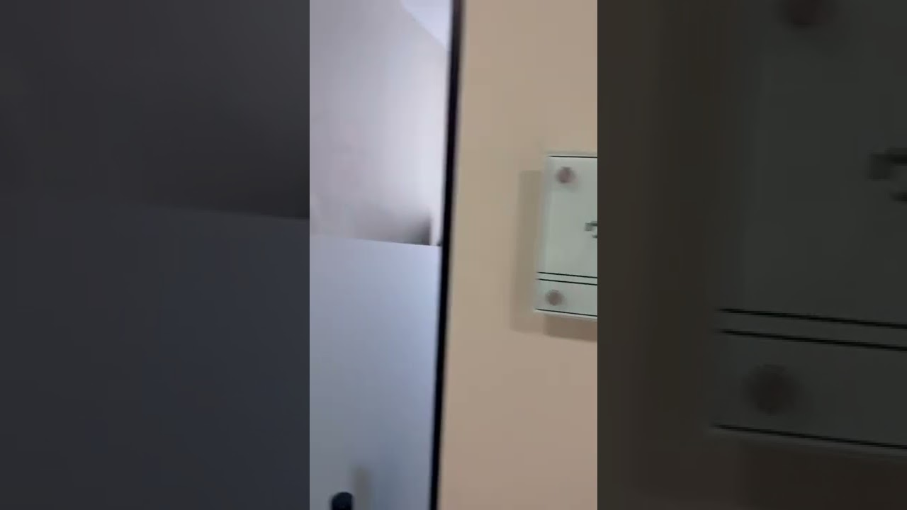 פלנט הכי טובים בבני ברק