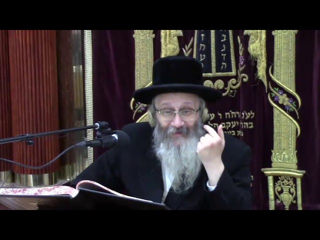 הלכות נזקי שכנים הזק ראי' -  ר' אפרים שמעון לייכטאג שליט"א