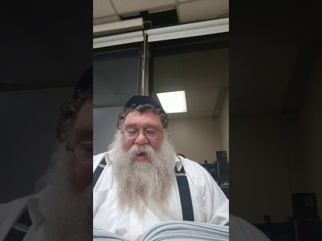 Practical Chasidus w R' Chaim Dalfin - Maamar Matza Zu 1944 #3