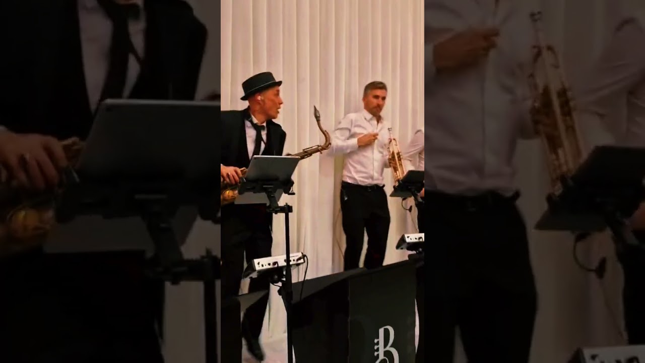MUSICAL ELEVATION 🦘