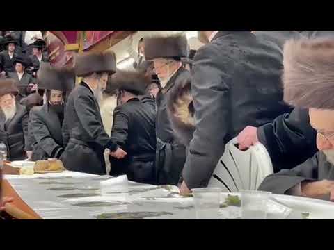 שמחת החתונה פון נכד כ״ק אדמו״ר מסאטמאר