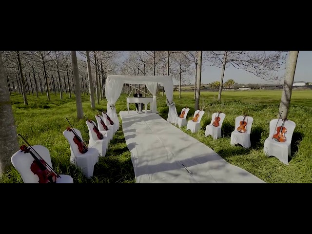 Avi Ilson - Zman Chupah - arranged by yoeli dikman
