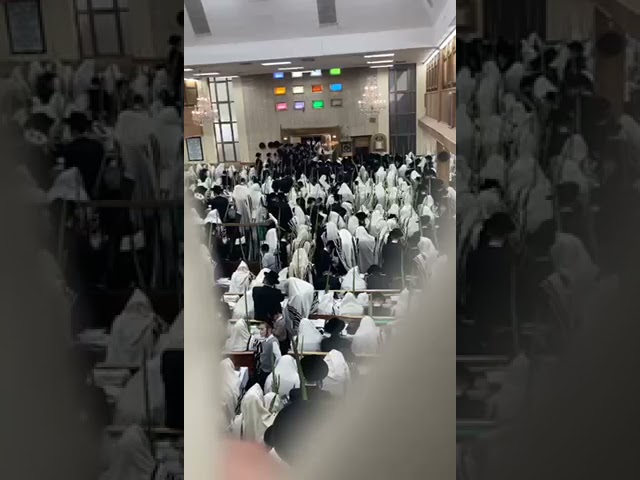 חג הסוכות בחצר הקודש סאטמאר