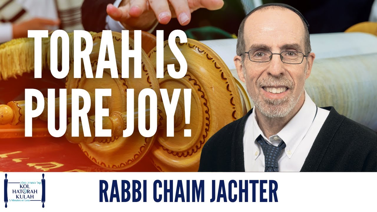 Torah is Pure Joy! - Rabbi Chaim Jachter