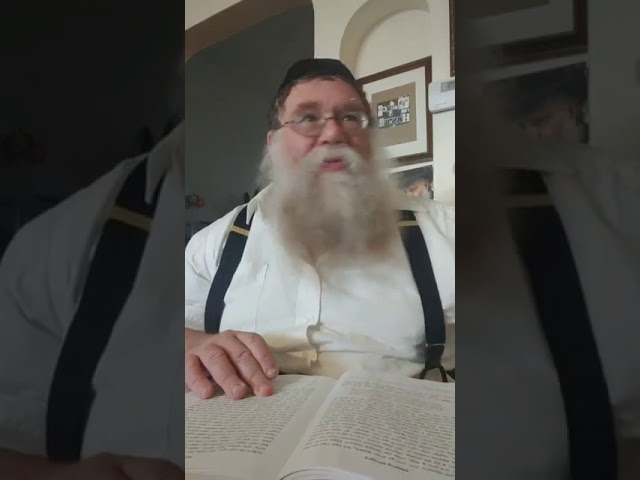 Practical Chasidus w Rabbi Chaim Dalfin - Maamar Choviv 1940 #10