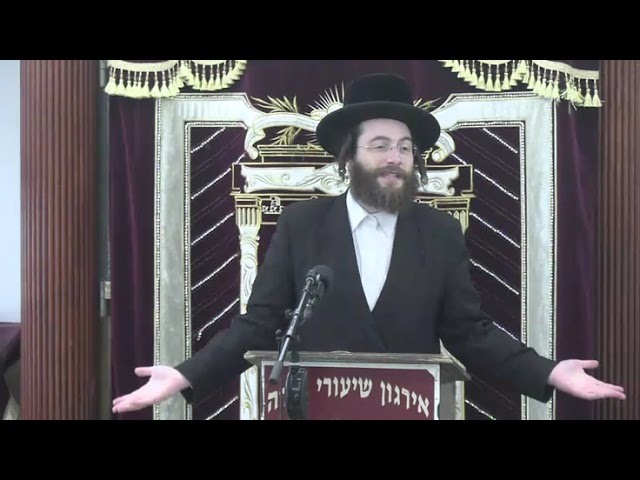 דיני חודש ניסן וערב פסח -  ר' יוסף פאללאק שליט"א