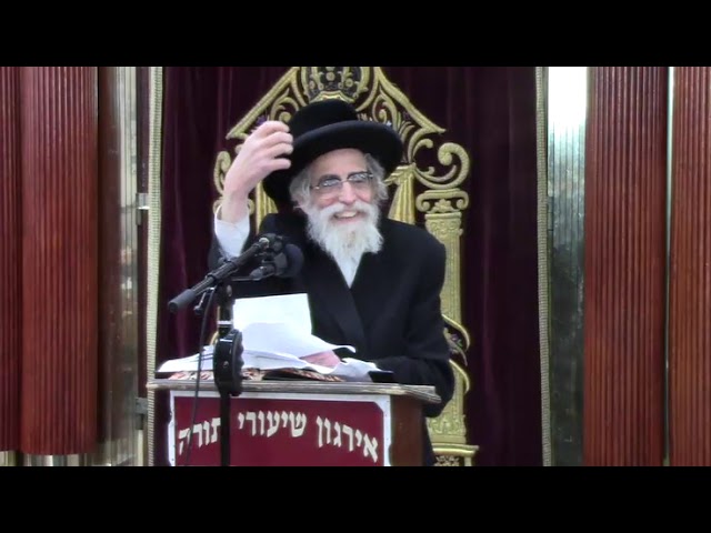 הלכות רחיצה וטבילה במקוה בשבת - ר' לייבל וויליגער שליט"א