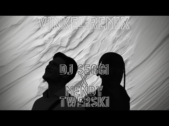 Vinkel - DJ Seggi Mashup @MendyTwerski