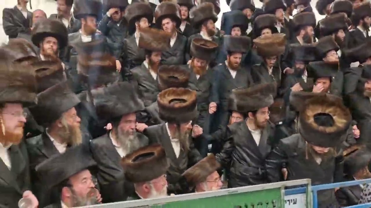 שמחת בית השואבה המרכזית