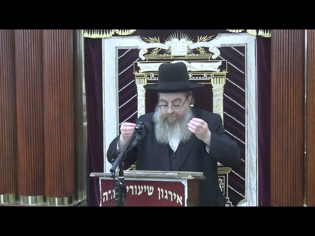 ועשו לי מקדש...  ואז נזכה לושכנתי בתוכם - ר' אלעזר ברוך באלד שליט"א