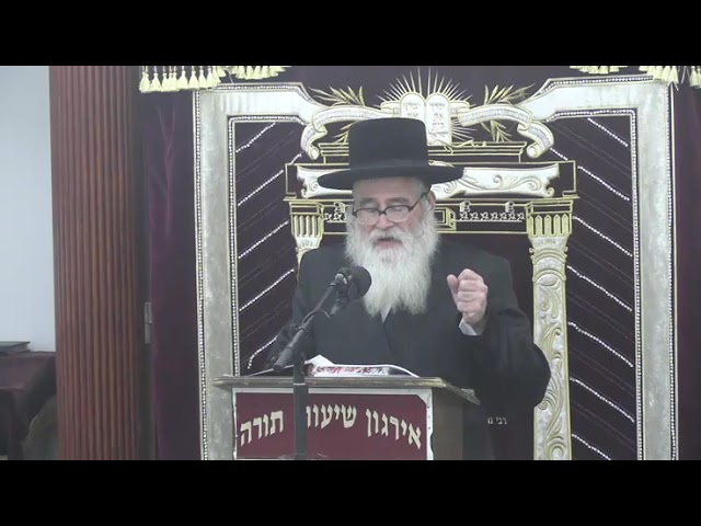 כשרות האתרוגים מ״יאנעווע״ האם בזמננו יש בהן חשש מורכב - ר' יצחק שטיין שליט"א