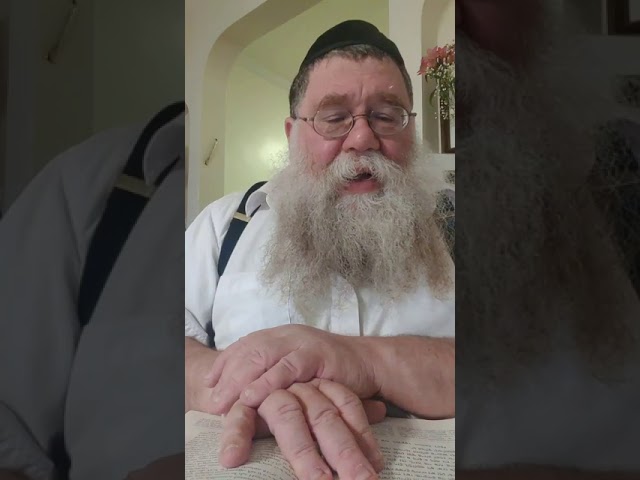 Finding a Rebbe for Yourself