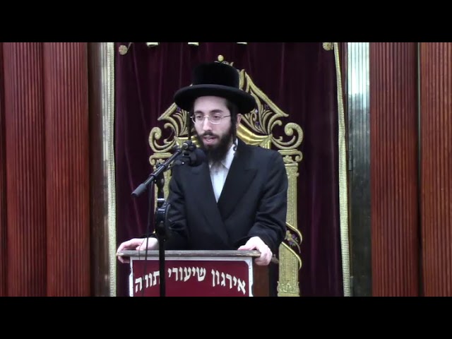 הכאה בהלכה -  ר' אלעזר ניסן רובין שליט"א