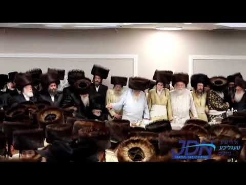 ריקוד בשמחת החתונה בחצרות תולדות אהרן - קרעטשניף קרית גת - מאקאווא - קאמרנא בני ברק - ט"ז כסלו תשפ"ד