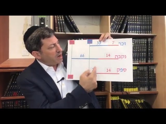 Daf Yomi Niddah Daf  29 by R’ Eli Stefansky