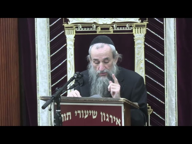 Summary: Food And The Issur Of Makeh Bepatish - Rabbi Yakov Zev Smith