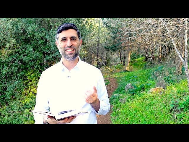 Bitachon 90 - King David's Promise