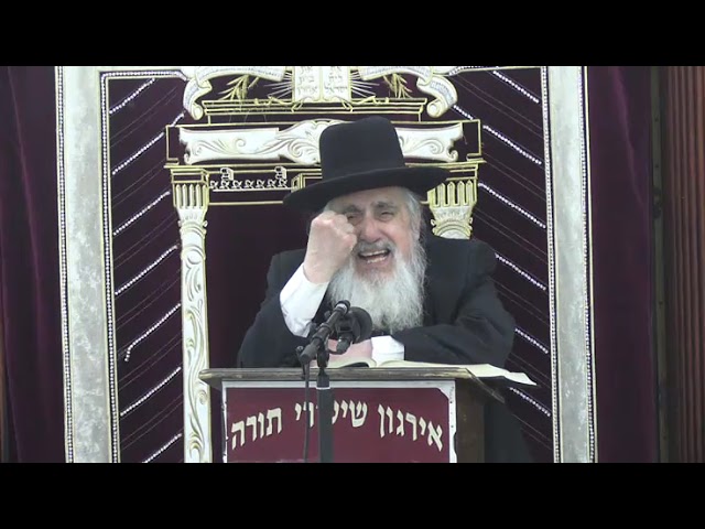 שיעור בענין כבוד התורה -  ר׳ אליעזר גינזבורג שליט"א