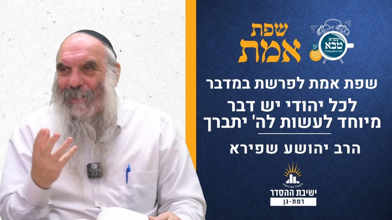 לכל יהודי יש דבר מיוחד לעשות לה' יתברך | שפת אמת לפרשת במדבר- תרלב | הרב יהושע שפירא
