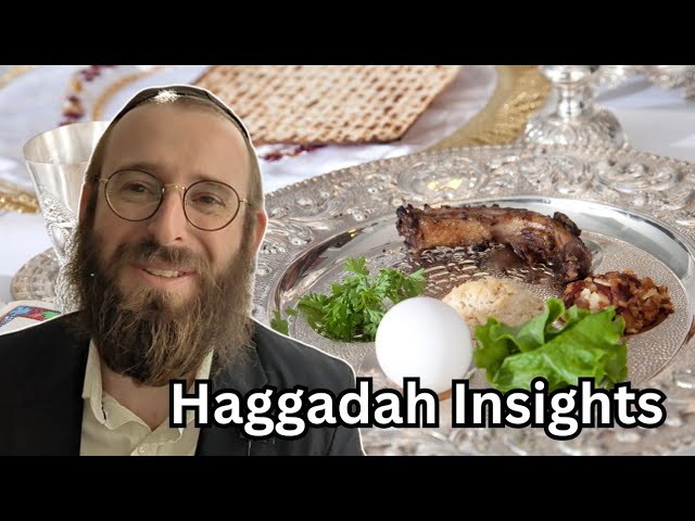 I wish I knew how to ask QUESTIONS like this when I was younger (מה נשתנה)