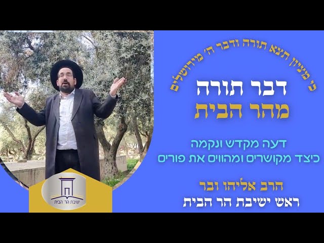 דעה מקדש ונקמה • כיצד מקושרים ומהווים את פורים | הרב אליהו ובר