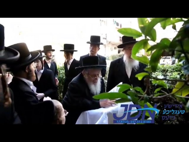 Narol Rebbe At Birkas Ha'ilons 2024 | האדמו”ר מנאראל שליט”א בברכת אילנות תשפ”ד