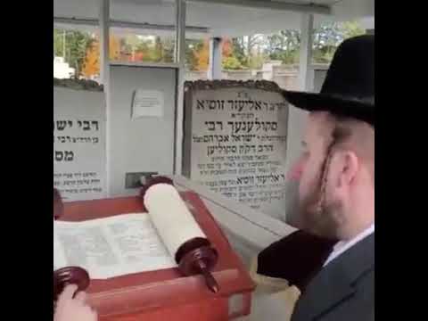 יהודים אומרים פרקי תהלים מתוך ספר תהלים של קלף בציון הק' של צדיקי בית סקולען זיע"א