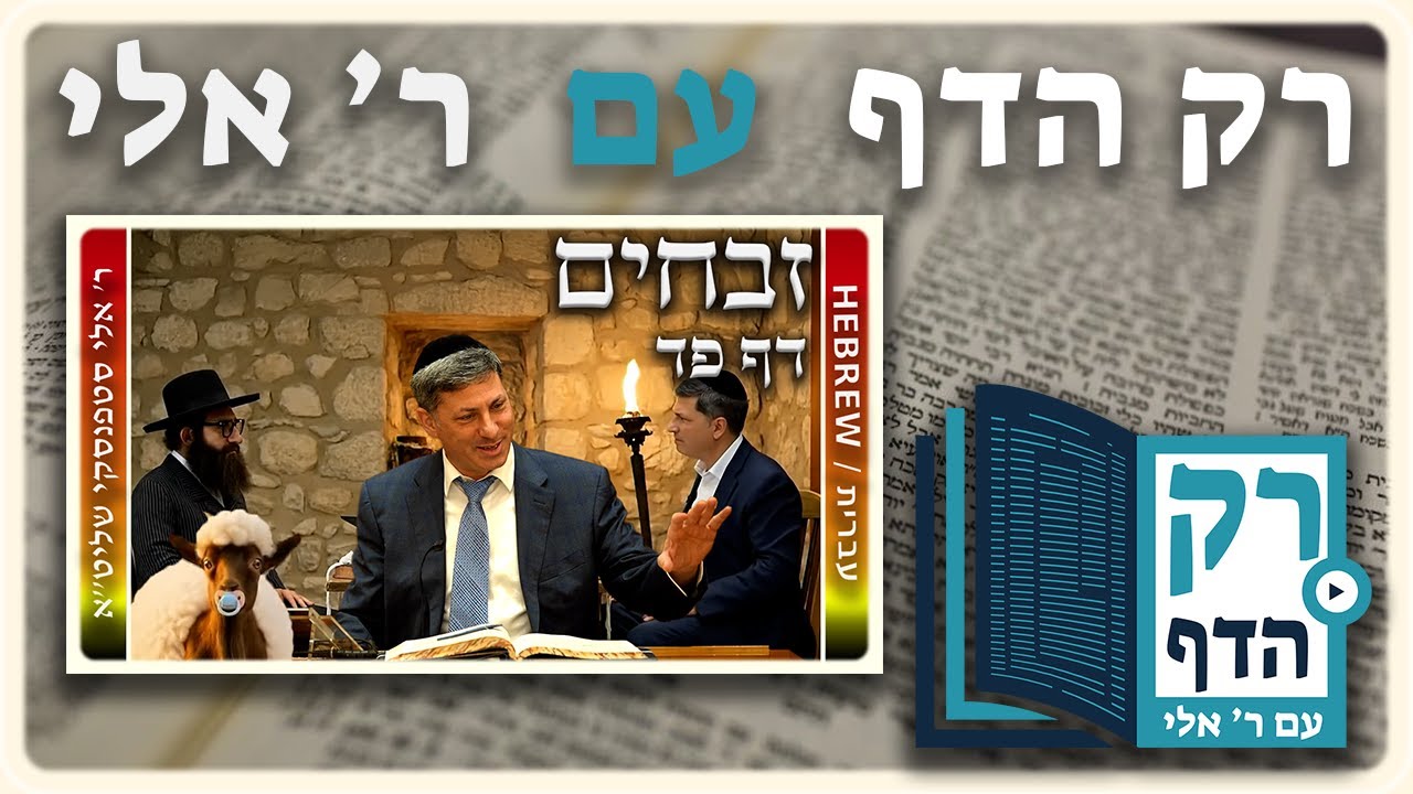 חזרה - זבחים דף פד | "רק הדף" עם ר' אלי סטפנסקי