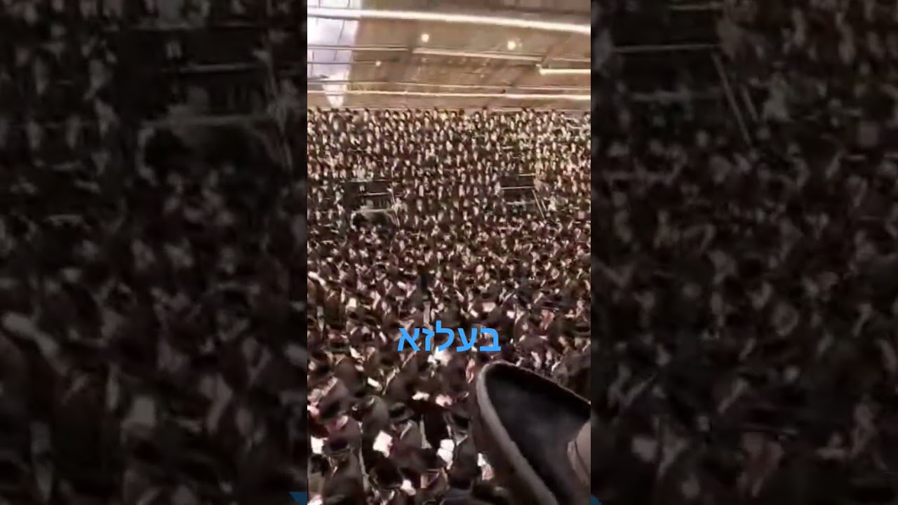 בעלזא
