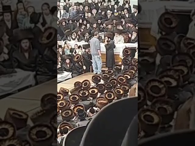 Satmar Rebbe - Raishis HaGez Ceremony - מעמד ראשית הגז בחצר הקודש סאטמאר קריאת יואל