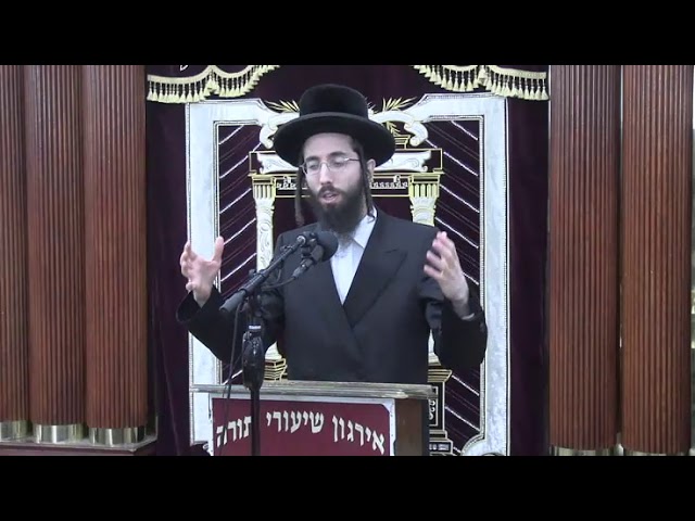 שנאת ישראל בהלכה (אנטיסעמעטיזם Antisemitism) -  ר' אלעזר ניסן רובין שליט"א