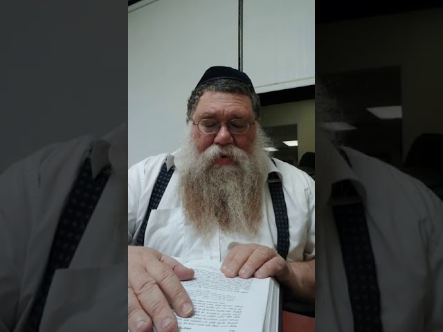 Practical Chasidus with Rabbi Chaim Dalfin - Vim Ruach HaMoishel 1924 #6 - Torah is Antidote