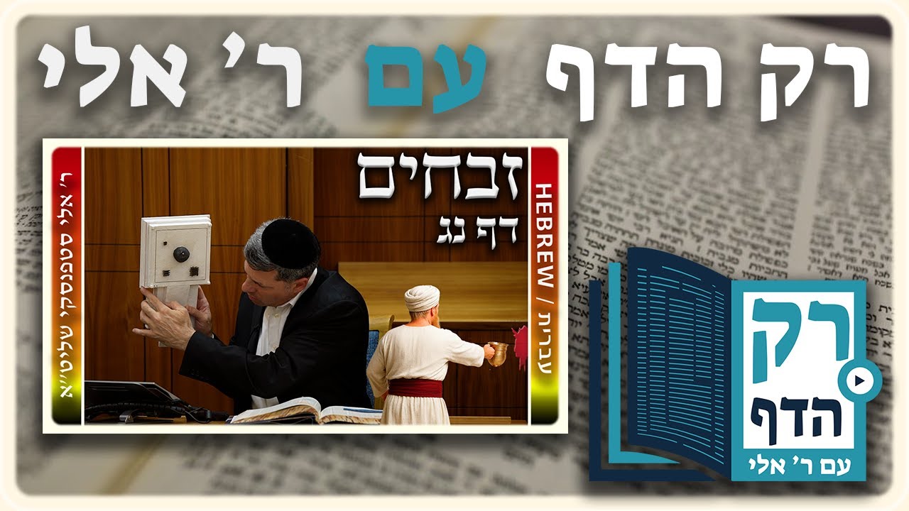 חזרה - זבחים דף נג | "רק הדף" עם ר' אלי סטפנסקי