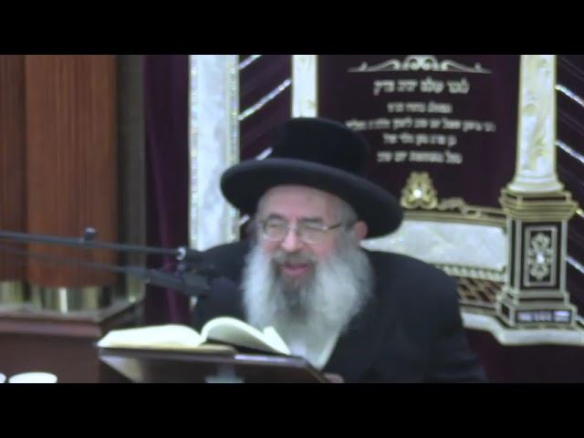 הלכות תשעה באב ואבילות - ר' גבריאל ציננער שליט"א