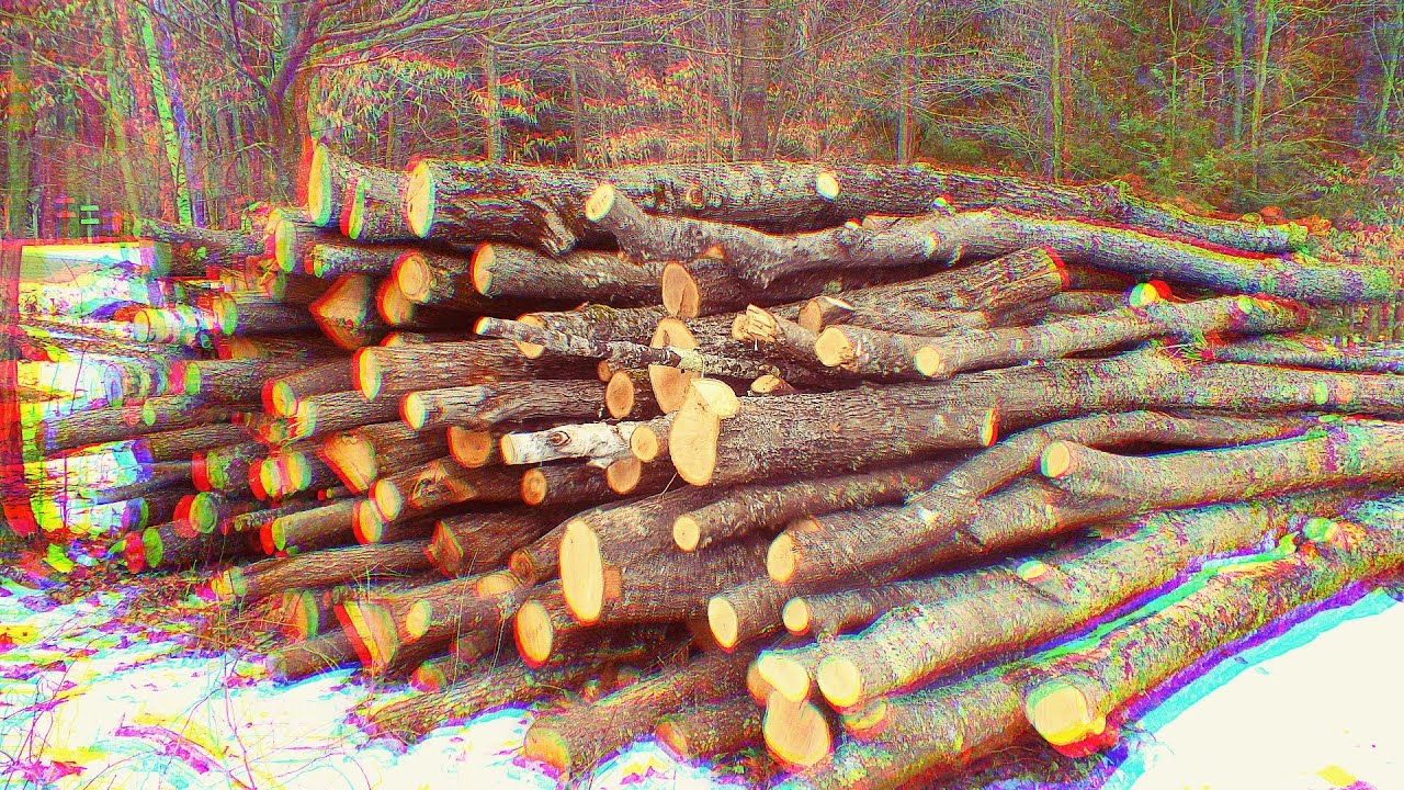 Vayikra — Selflessness and the Wood Offering