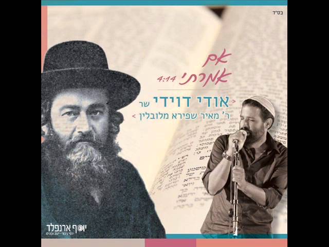 אודי דוידי - אם אמרתי
