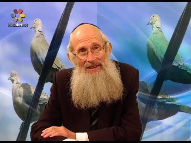 Found - Rabbi Samuel Steinhaus