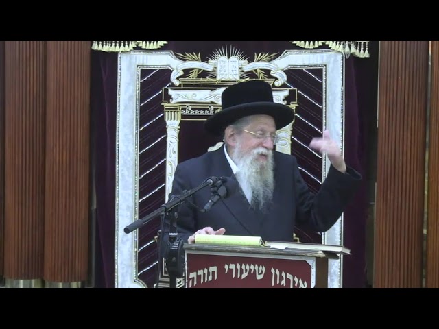 הודאה ושירה -  ר' אליעזר דוד ראפפארט שליט"א
