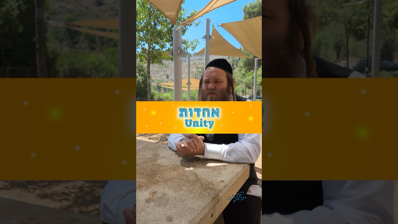 Unity - אחדות