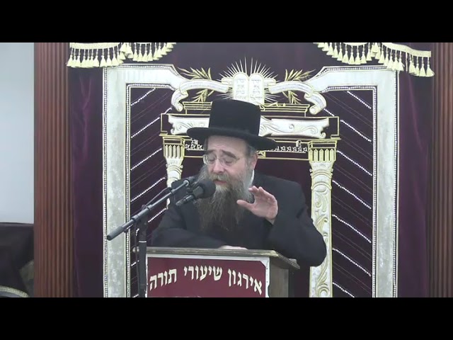 שאלות ותשובות בהלכות שבת - ר' חיים בן ציון ראזענבערג שליט"א