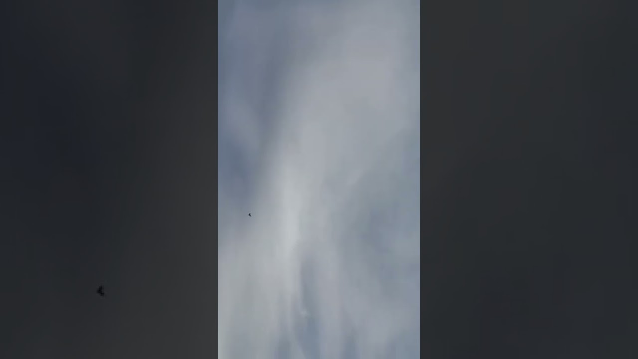 השיטה החדשה שמשגעת את העולם